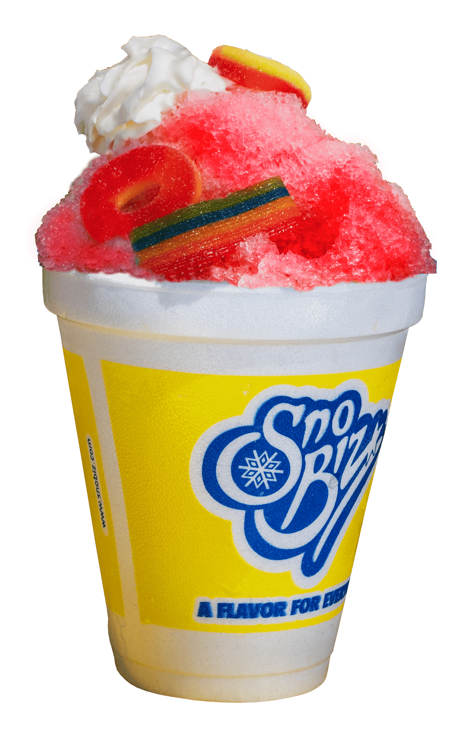 shaved ice in st pete and at your next party
